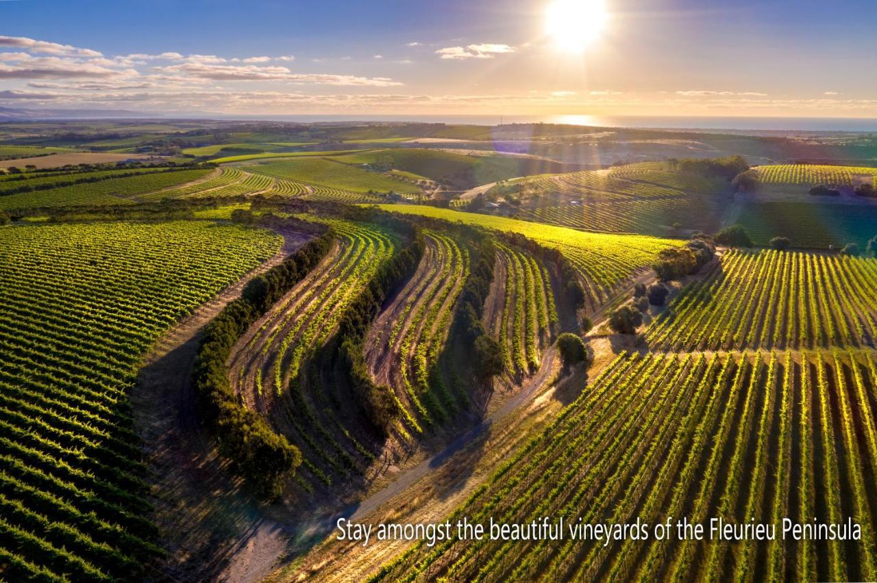 مبيت وإفطار Sellicks Hill The Old Chaff Mill Organic Vineyard Retreat المظهر الخارجي الصورة