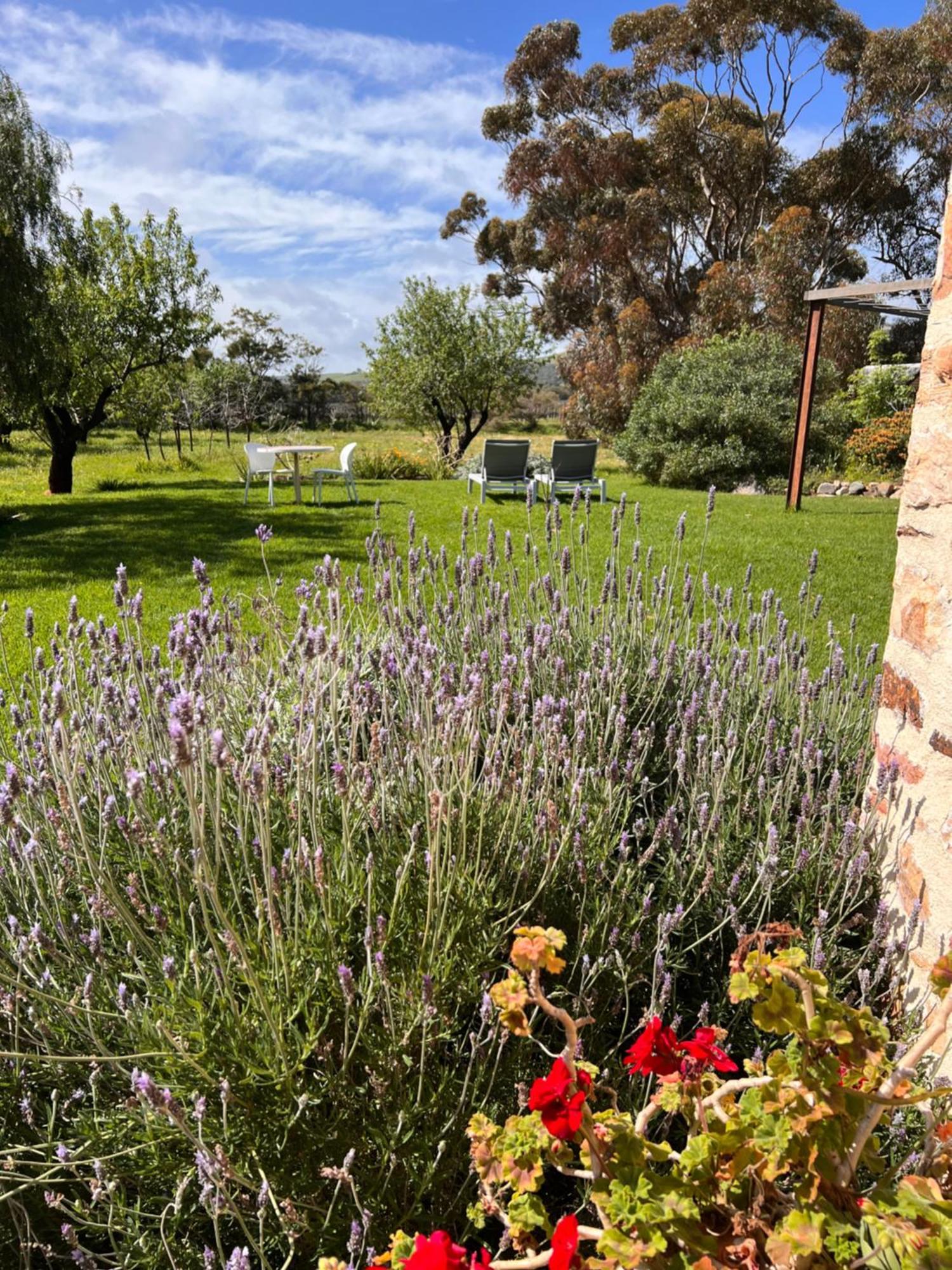 مبيت وإفطار Sellicks Hill The Old Chaff Mill Organic Vineyard Retreat المظهر الخارجي الصورة